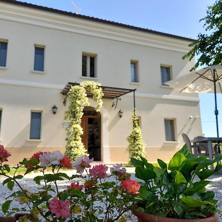 Villa Marietta Country House - Marche Montemaggiore al Metauro Exterior foto