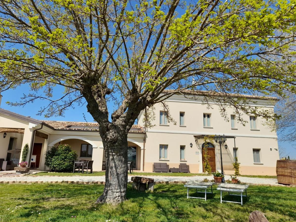 Villa Marietta Country House - Marche Montemaggiore al Metauro Exterior foto