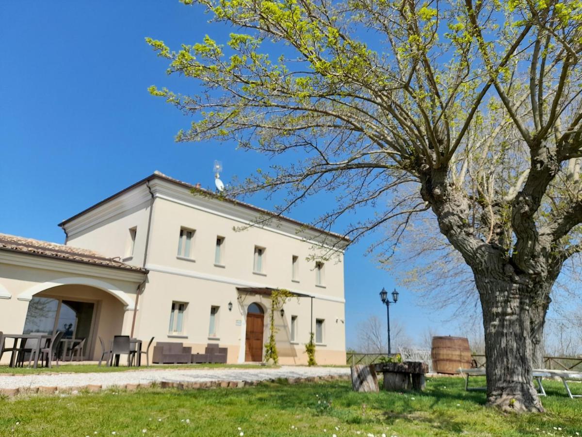 Villa Marietta Country House - Marche Montemaggiore al Metauro Exterior foto