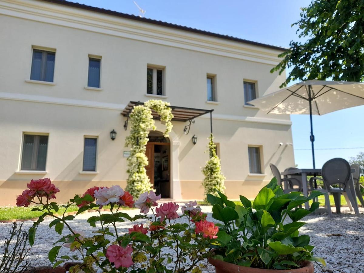 Villa Marietta Country House - Marche Montemaggiore al Metauro Exterior foto
